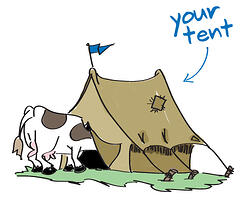 tent