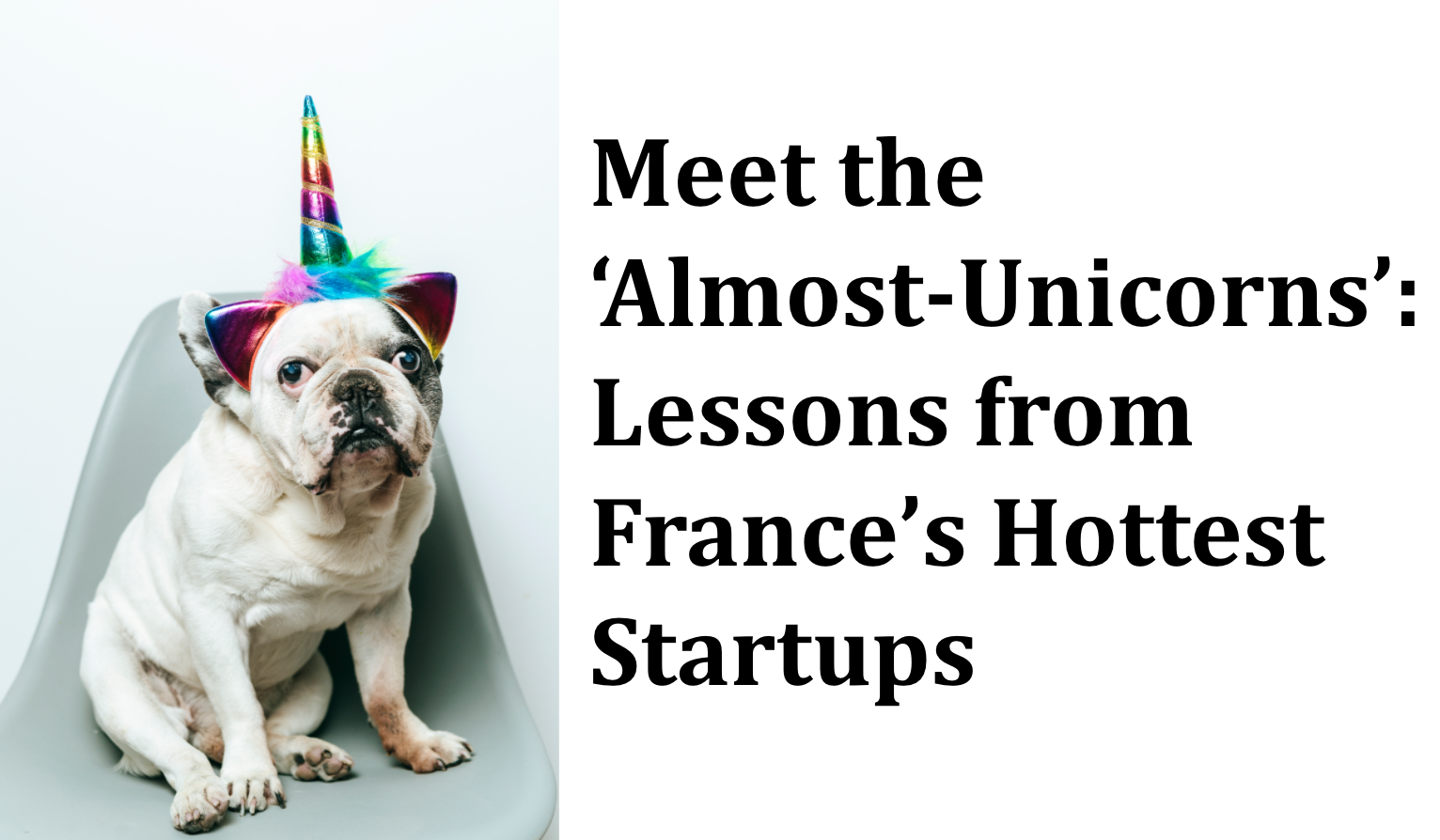 Meet the ‘Soonicorns’: 6+ Business Ideas Inspired by France’s Hottest Startups