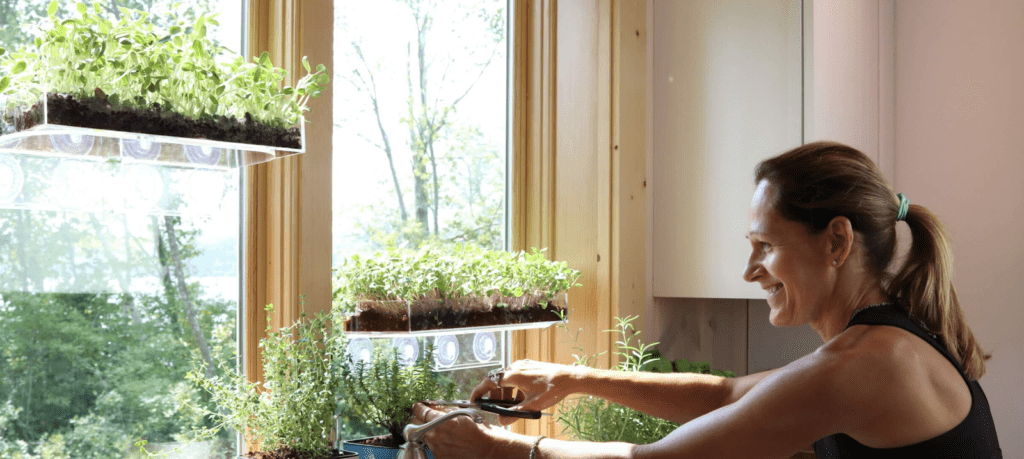 Window Garden: A Mega Home Business Built on MicroGreens